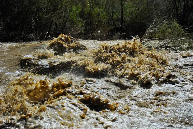 رودخانه گز در سیریک؛ بحرانی که کمتر دیده شده است!