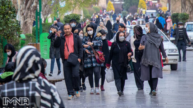 هدیه‌ای شوکه‌کننده برای روز زن؛ مردی اسب را در خودرو به خانه برد!