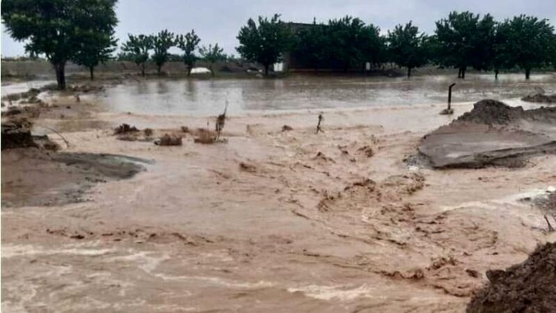 نجات معجزه‌آسا ۵ خانواده گرفتار در سیل هرمزگان؛ لحظه‌هایی که نفس را در سینه حبس کرد!