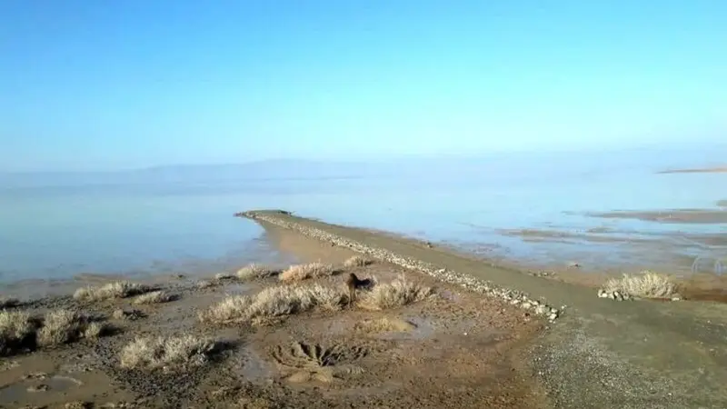 تالاب کجی نمکزار نهبندان پس از یک سال خشکی جان تازه گرفت!