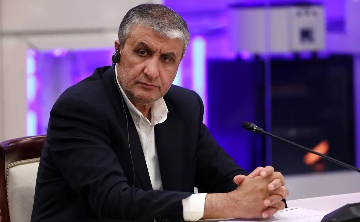 محمد اسلامی: آژانس بدون دستورالعمل نمی‌تواند مراکز آسیب‌دیده حمله نظامی را بازرسی کند؛ فشارهای بین‌المللی تاثیری ندارد