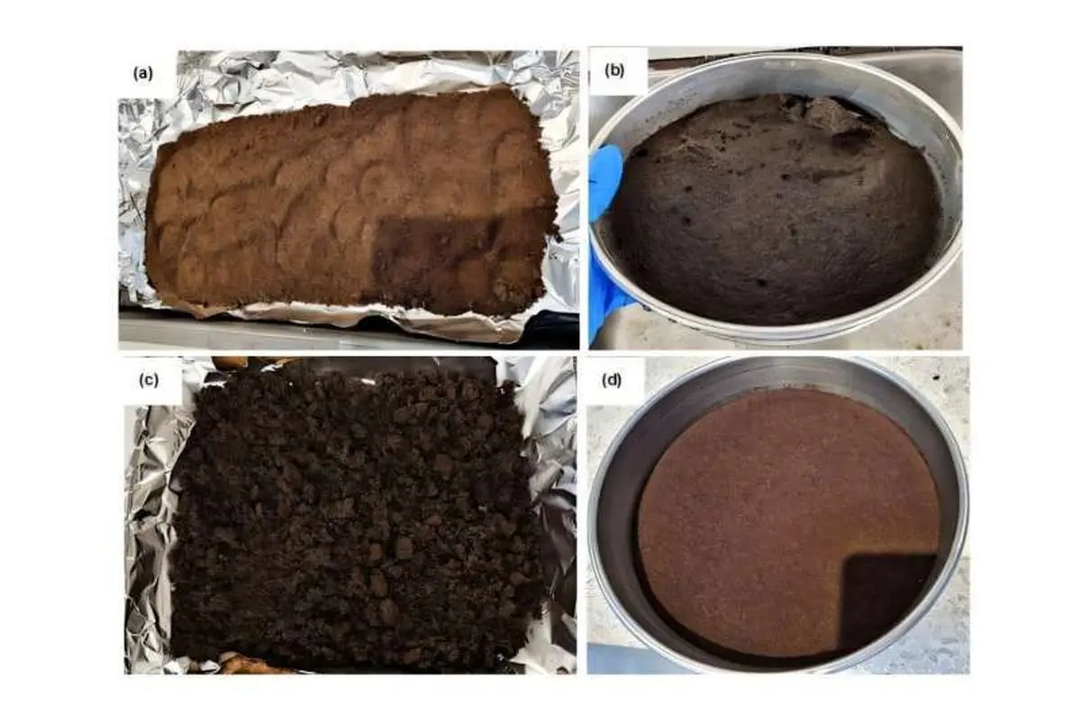 تفاله قهوه، فیلتر جادویی که ۹۸ درصد سرب آب را می‌بلعد!