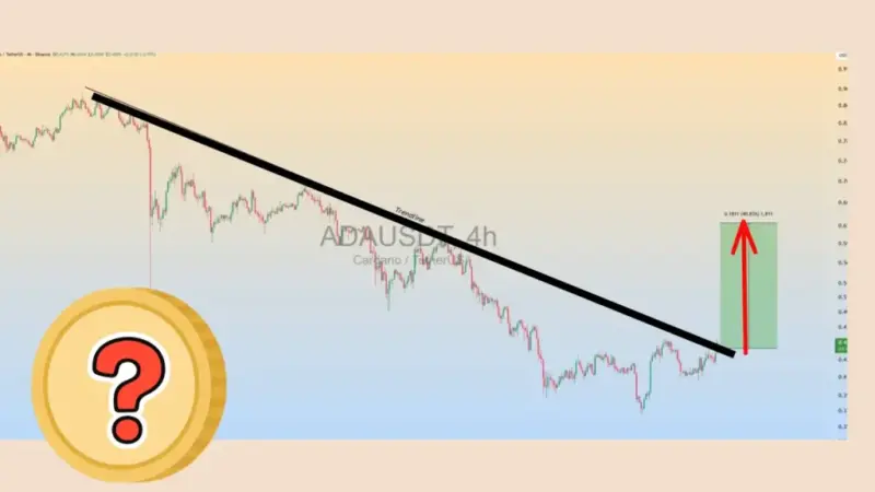 کاردانو آماده انفجار قیمت تا ۴۰ درصد؛ آیا غول خفته بیدار می‌شود؟