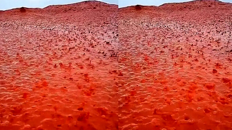 جزیره هرمز چگونه در باران سرخ‌رنگ جهان را شوکه کرد؟
