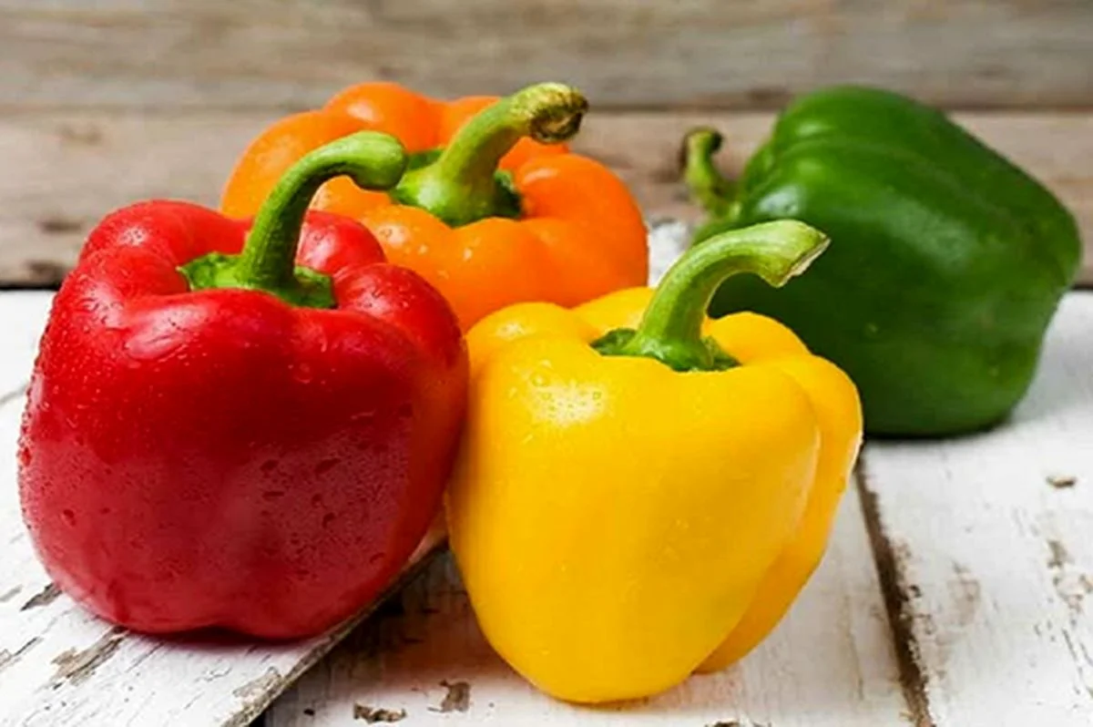 فلفل دلمه‌ای نر یا ماده؟ راز آشپزی بهتر با این سبزی رنگارنگ فاش شد!