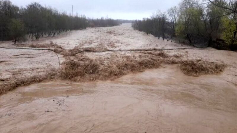 چرا سدهای کشور با سیلاب‌های شدید همچنان بی‌خسارت مانده‌اند؟