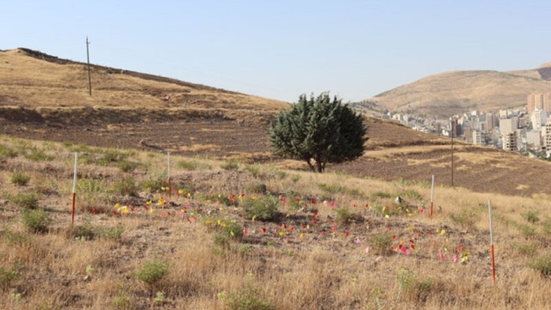 کشف محوطه یک میلیون ساله در کرمانشاه؛ معمای حفظ میراثی که همه باید پای کار بیایند!