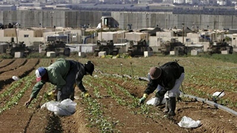 ایران طرحی بی‌سروصدا برای ضربه به کشاورزی اسرائیل اجرا می‌کند؟