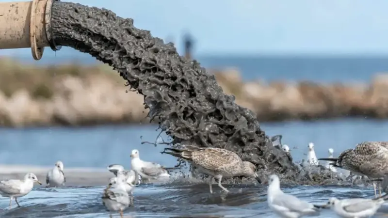 تالاب انزلی در معرض تهدید جدی پساب‌ها؛ آیا این گنجینه طبیعی نابود می‌شود؟
