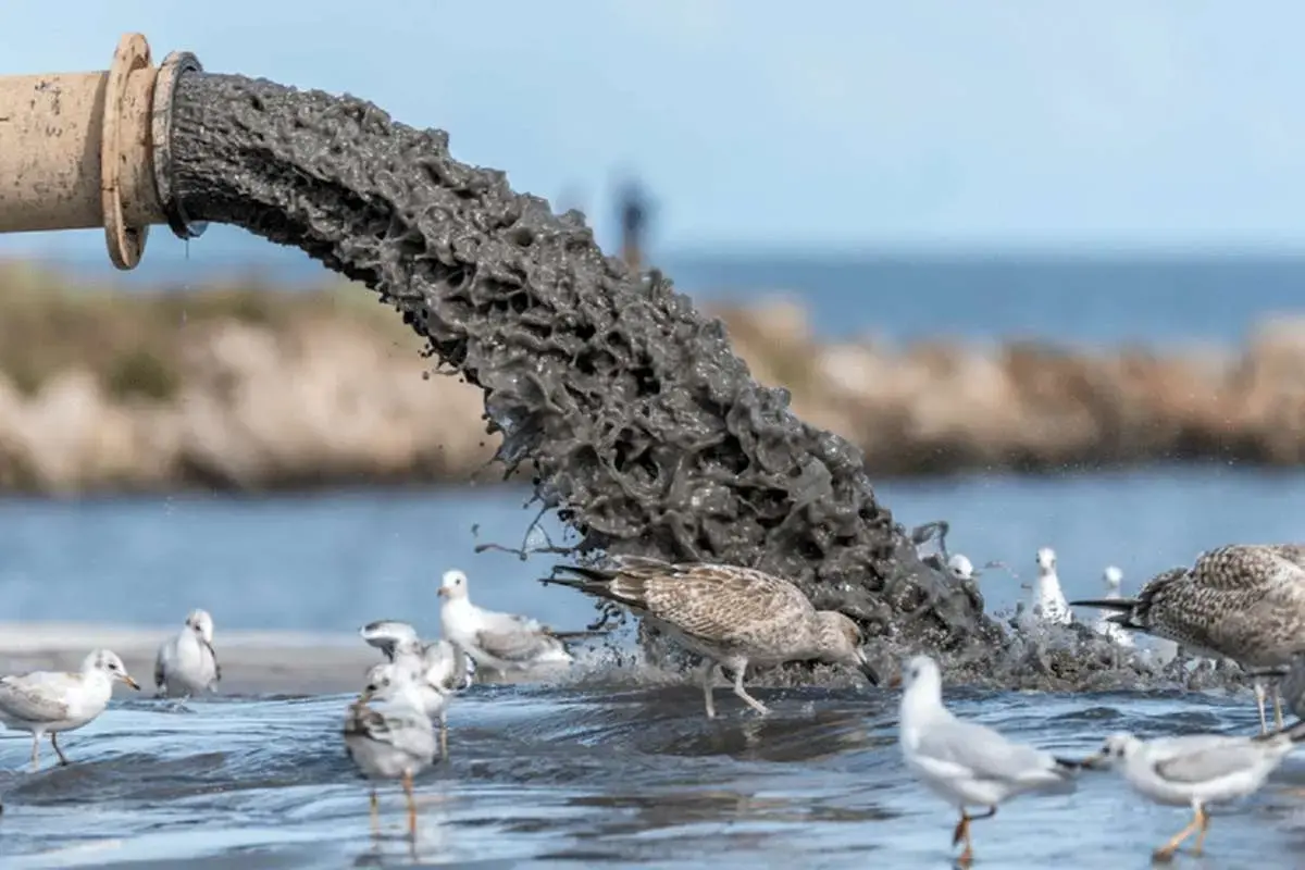 تالاب انزلی در معرض تهدید جدی پساب‌ها؛ آیا این گنجینه طبیعی نابود می‌شود؟