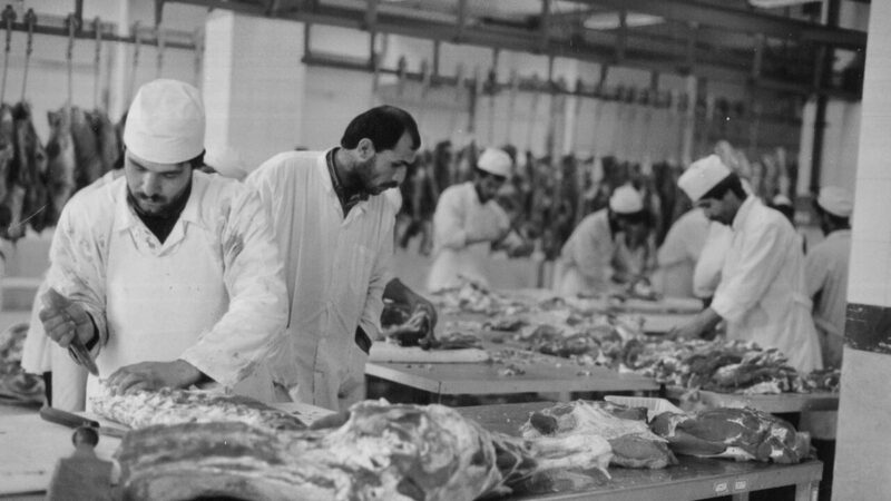 ۷۰ سال خاطره در کشتارگاه تهران؛ از صنعتی‌ترین محل تا فرهنگسرای بهمن