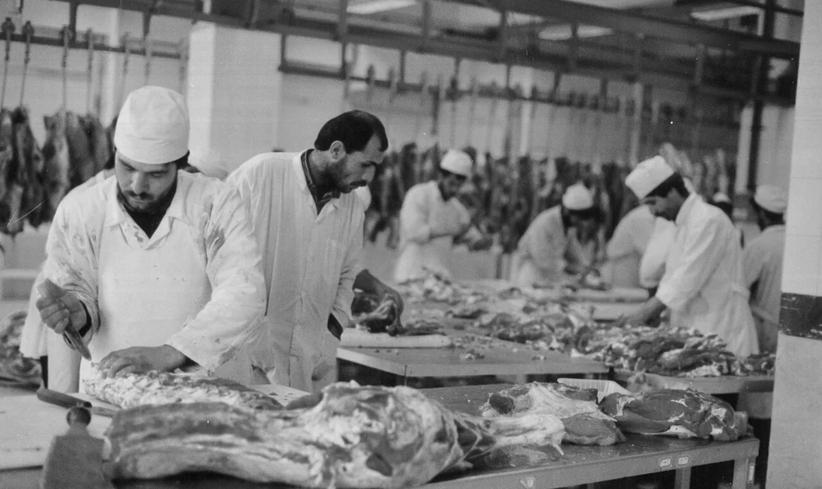 ۷۰ سال خاطره در کشتارگاه تهران؛ از صنعتی‌ترین محل تا فرهنگسرای بهمن