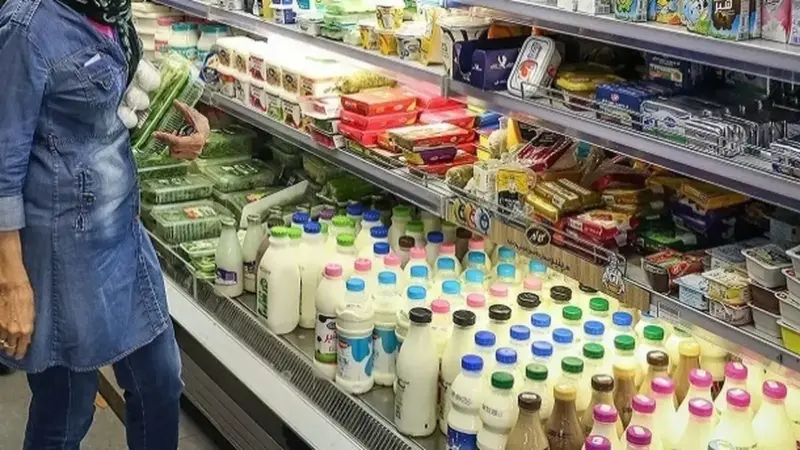 تصمیم شبانه‌ای که بازار لبنیات را به هم ریخت؛ قیمت شیر، ماست و پنیر چقدر افزایش یافت؟