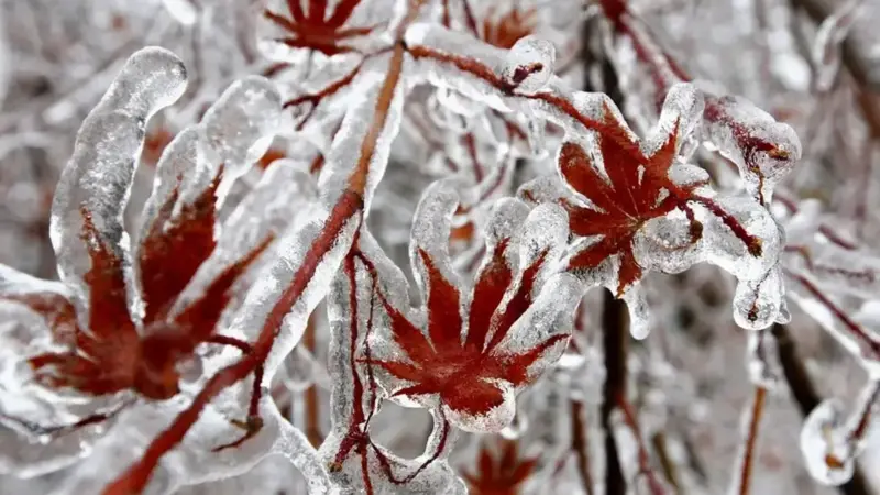 سرمای واقعی فردا پنج شنبه از راه می رسد + جزئیات