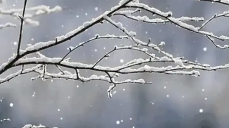 صدای احمد شاملو از پاکی و امید سپید در برف نو؛ فایل صوتی شنیدنی منتشر شد