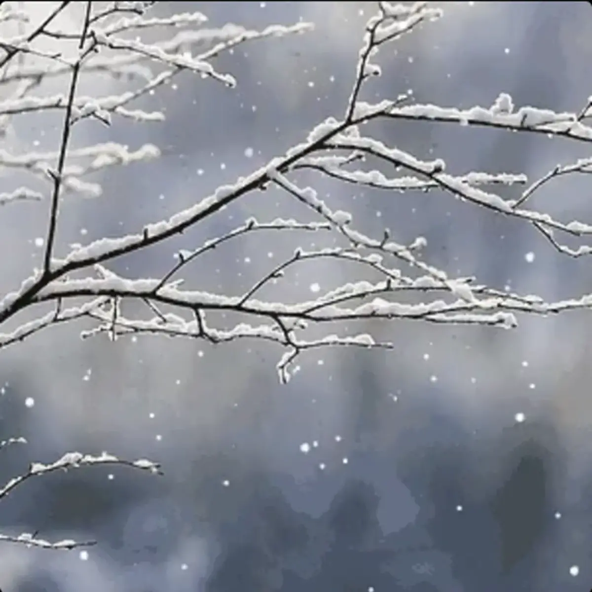 احمد شاملو چگونه با «پاکی و امید سپید» در دل زمستان برف تازه می‌آورد؟