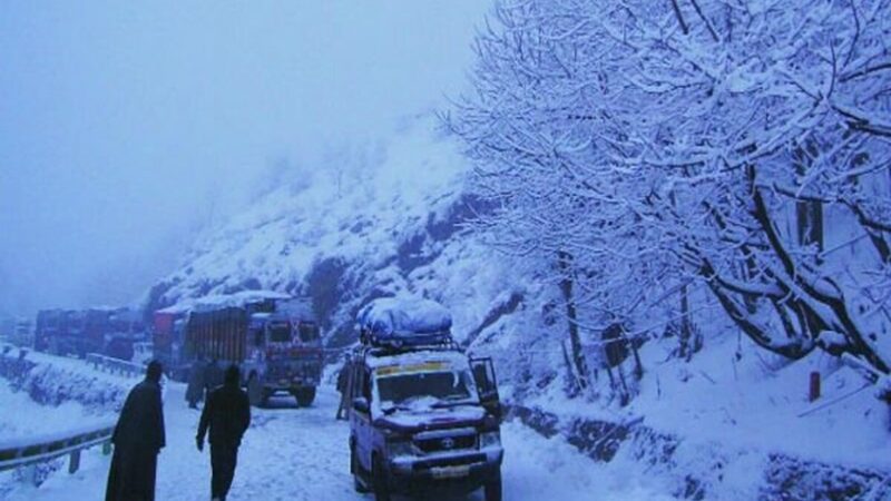 سرمای بی‌رحم غرب افغانستان ۴ قربانی گرفت؛ داستان تلخ عبور غیرقانونی و یخ‌زدگی جان چوپان