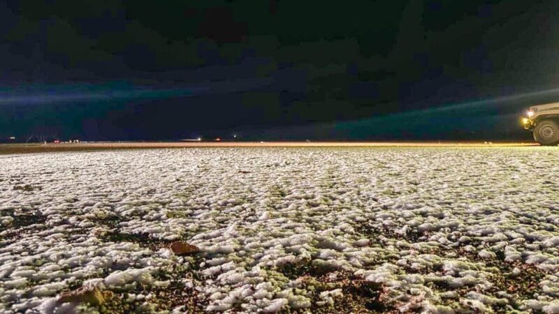 اولین بارش برف در ریاض پس از دهه‌ها؛ عربستان سفیدپوش شد!