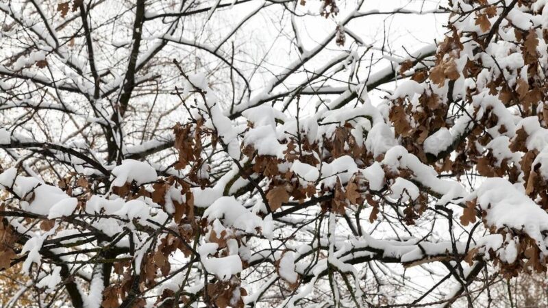 ۱۸ استان کشور در سرمای زیر صفر؛ هشدار برای افزایش آلودگی هوای شهرهای صنعتی!