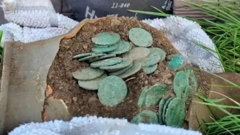 شوک تاریخی در ولز؛ کشف بزرگ‌ترین گنجینه ۱۵ هزارسکه‌ای روم باستان توسط جست‌وجوگر فلزات!