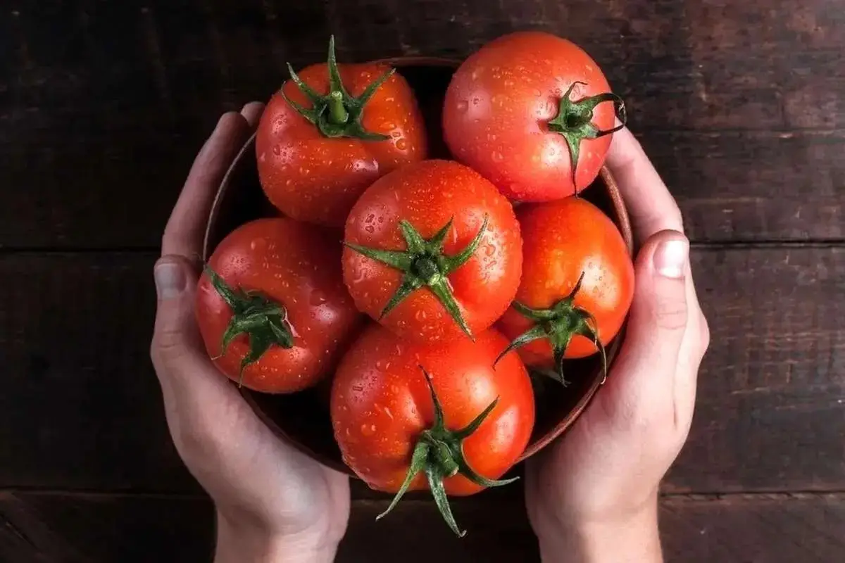 کشف شگفت‌انگیز: لیکوپن قرمز چگونه سکته مغزی را نصف می‌کند؟