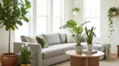 چگونه گیاهان آپارتمانی اتاق پذیرایی شما را به بهشت آرامش تبدیل می‌کنند؟