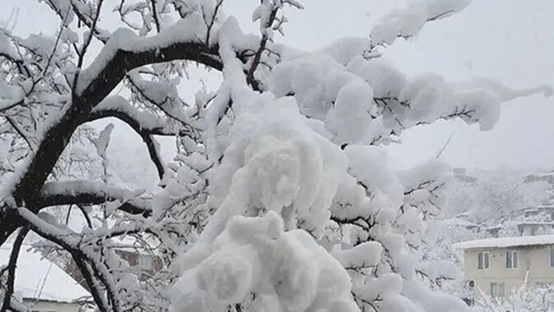 ارتفاع برف در بانه و سردشت از نیم متر فراتر رفت؛ زمستانی جادویی و چالش‌برانگیز!