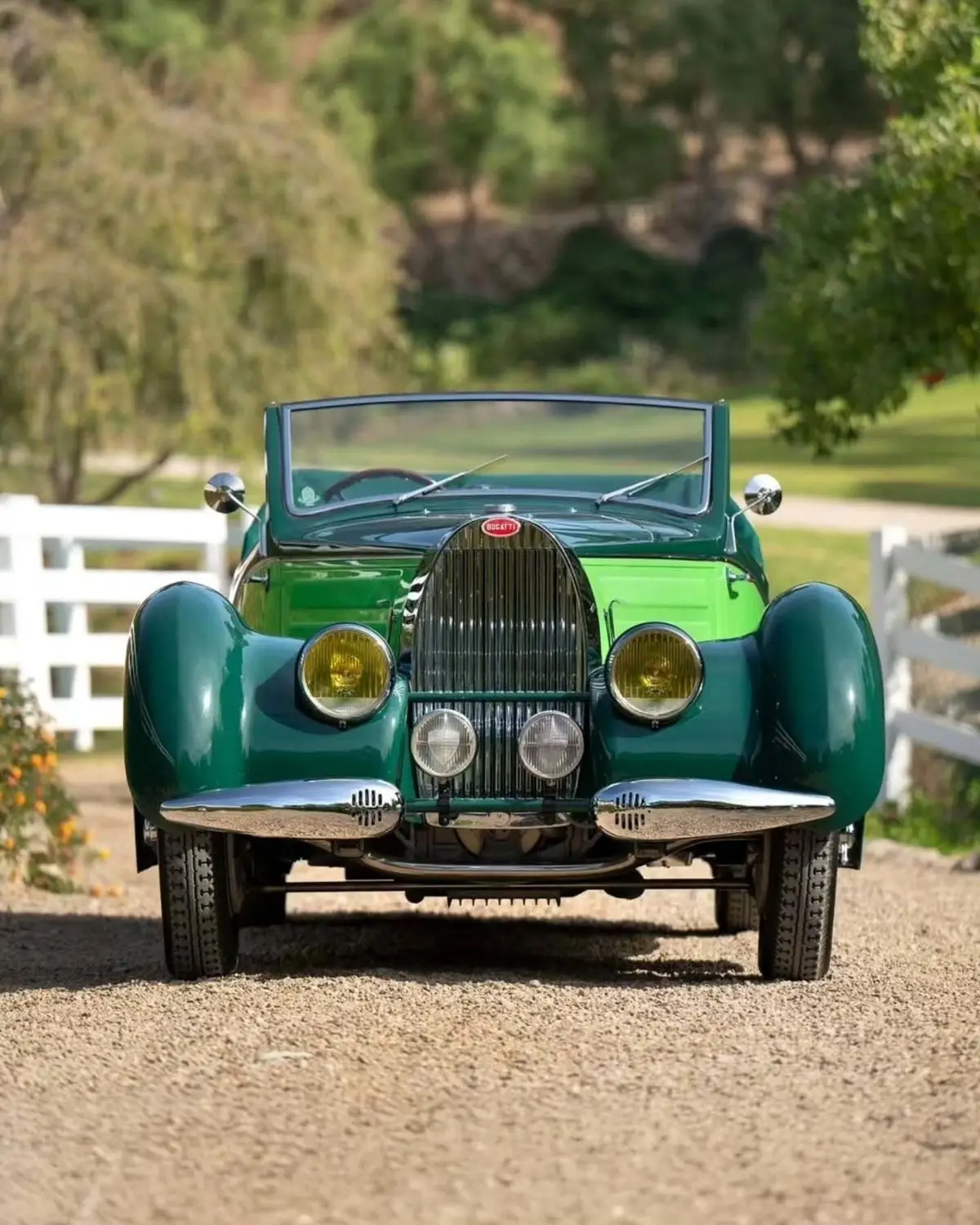 بوگاتی کلاسیک با رنگ «سبز درخت کریسمس» چطور دل هواداران را ربود؟