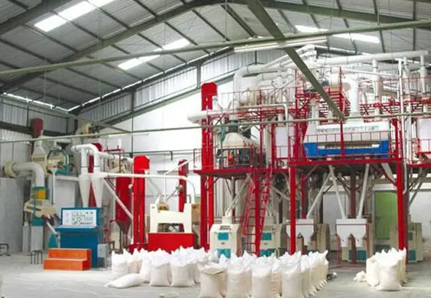 بازدید ویژه مدیرکل غله کرمانشاه از کارخانه آرد گلچین کنگاور؛ آیا کیفیت نان تضمین می‌شود؟