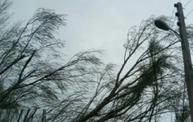 تندباد سهمگین به ۵۰ سیاه‌چادر عشایری ایلام خسارت زد؛ زندگی در خطر؟