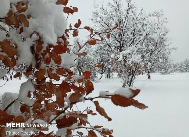 خوزستان در انتظار تگرگ و برف نادر؛ موج بارشی شدید از فردا آغاز می‌شود!