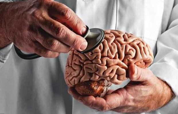 راز جوان‌تر ماندن مغز؛ چگونه توده عضلانی و چربی شکمی سلامت ذهن را تضمین می‌کند؟