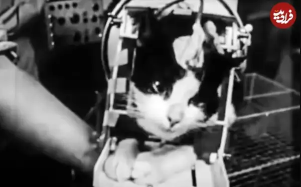 سفر شگفت‌انگیز در زمان با عکس محمد مطیع کنار بهمن مفید در سال ۵۱!