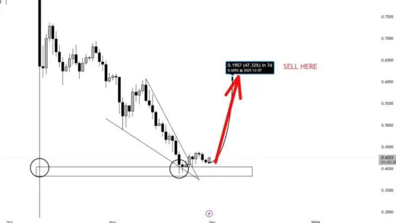 کاردانو در آستانه جهش ۳۰۰ درصدی؛ آیا فرصت طلایی خرید فرا رسیده؟