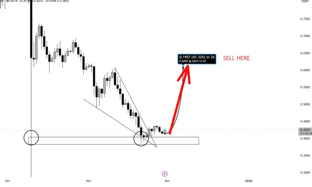 کاردانو در آستانه جهش ۳۰۰ درصدی؛ آیا فرصت طلایی خرید فرا رسیده؟