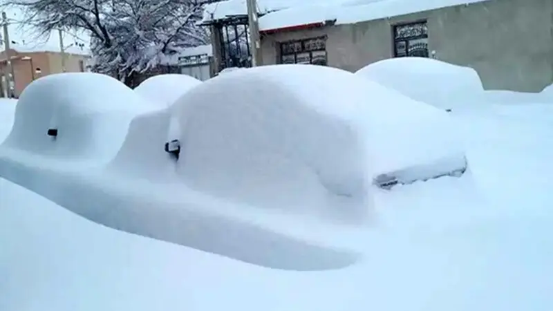 این روستا، زیر برف ناپدید شد/ ویدئو