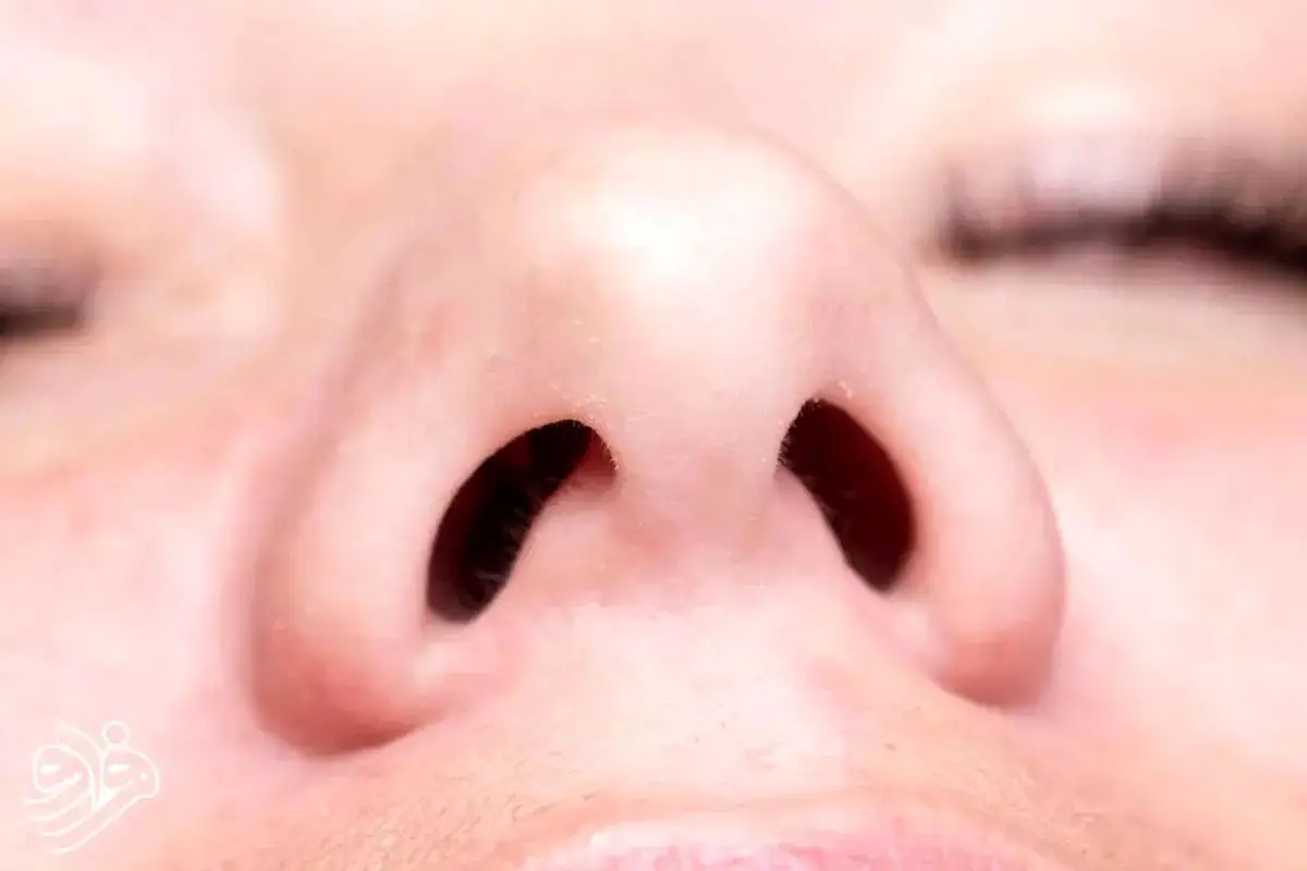 اگر فقط یک سوراخ بینی داشتیم، زندگی‌مان چطور تغییر می‌کرد؟ حقایقی که نمی‌دانستید!