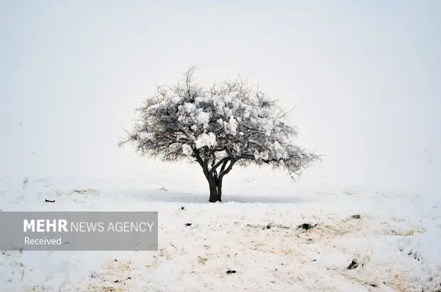 بالاکتفی هشدار داد: سفر به ارتفاعات یزد در شرایط بحرانی، خطرناک و غیرضروری است!