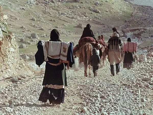 آغاز ترمیم فوری راه‌های عشایری ایلام پس از سیلاب‌های ویرانگر؛ ۵۰ میلیارد ریال هزینه شد