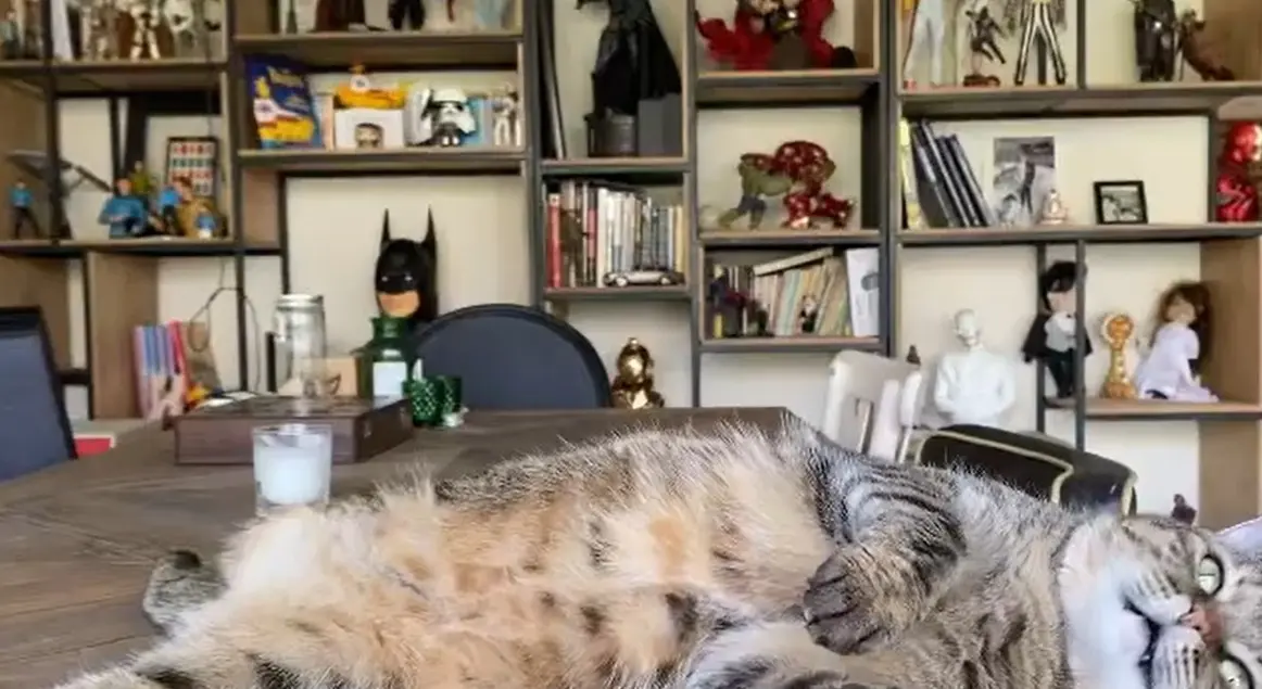 نیلوفر قلعه‌وند؛ مربی پیلاتس که در حمله رژیم صهیونیستی به شهادت رسید