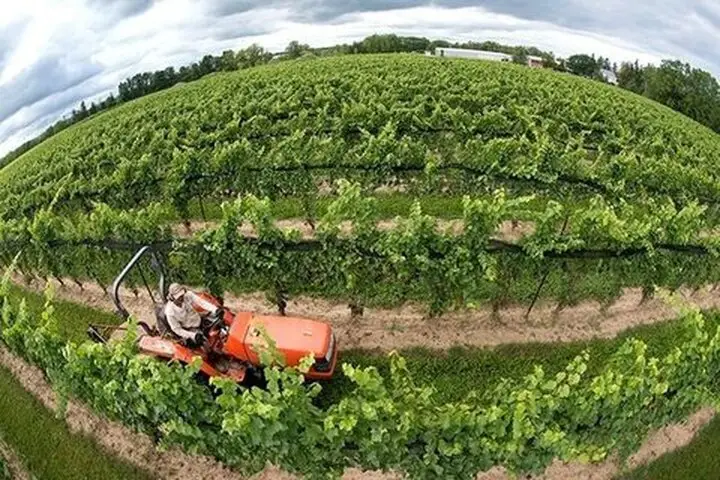 الگوی کشت برای اولین بار لحظه‌ای و مکانیزه رصد می‌شود!