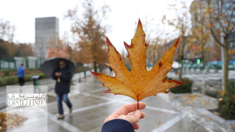 پایان فصل بی‌بارشی؛ ورود متوالی سامانه‌های بارشی به ایران در راه است!