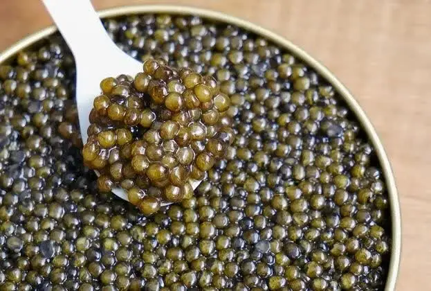 راز محبوبیت بی‌رقیب خاویار ایرانی در بازارهای جهانی فاش شد!