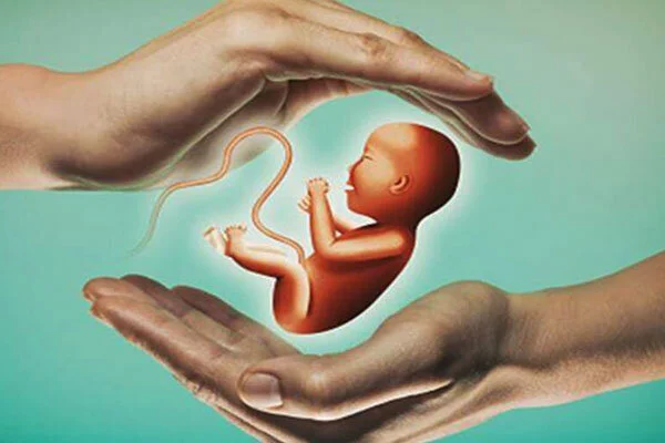 شعار فرزند کمتر، زندگی بهتر، بر الگوهای فرزندآوری اثر گذاشته است