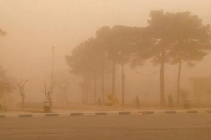 بوشهر در چنگال ریزگردها؛ شاخص آلودگی هوا به ۵۰۰ رسید و سلامت در خطر جدی!