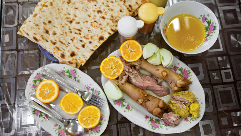 کله‌پاچه‌ای که فقط ایرانی نیست؛ گوزن و شتر هم به سفره‌ها آمده‌اند!