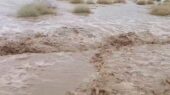 باران شدید چگونه رودخانه‌های فصلی لامرد را به زندگی دوباره رساند؟