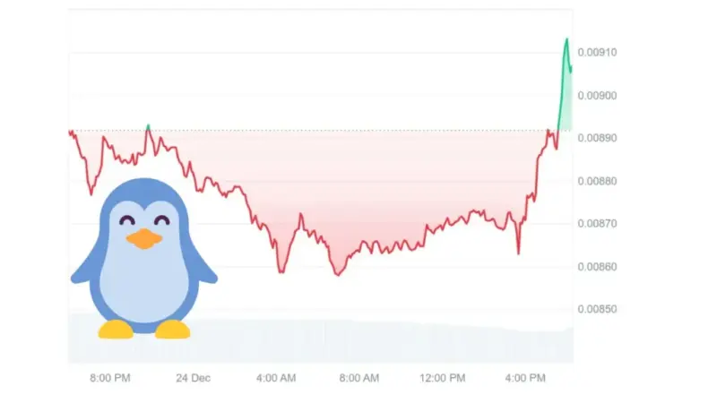 میم کوین پاجی پنگوئنز چگونه در اوج سقوط بازار، سرمایه‌گذاران را شگفت‌زده کرد؟