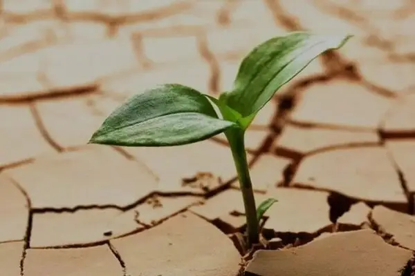 چرا پژوهش هدفمند و همکاری ملی، کلید حل بحران محیط زیست است؟