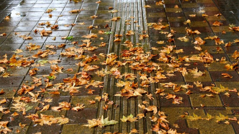 باران طولانی تهران آغاز شد؛ نفس تازه برای هوای آلوده پایتخت